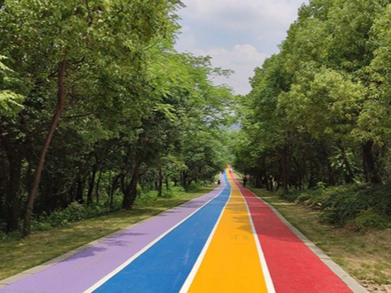 健身步道、路面